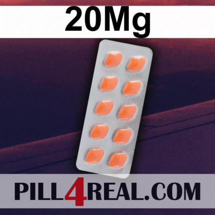 20Mg 255