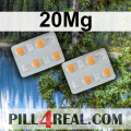 20Mg 256