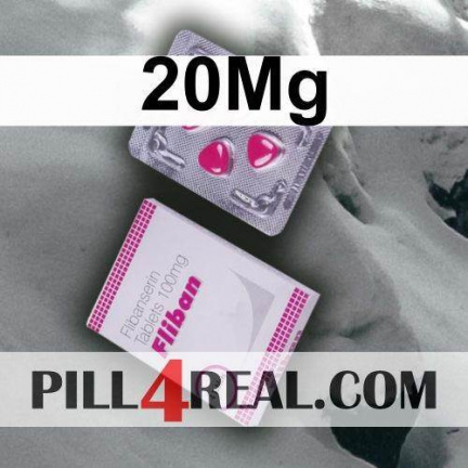 20Mg 301