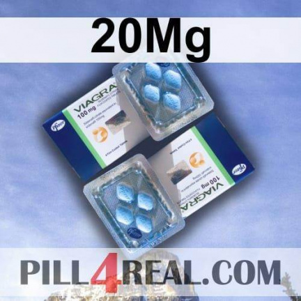 20Mg 388