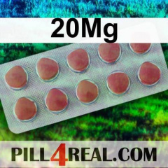 20Mg 395