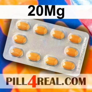 20Mg 450