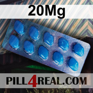 20Mg 550