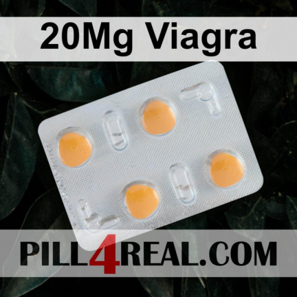 20Mg Viagra 840