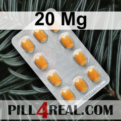 20 Mg 001