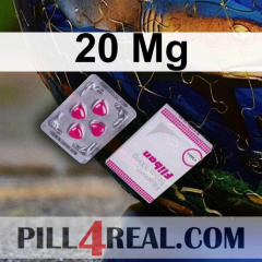 20 Mg 313