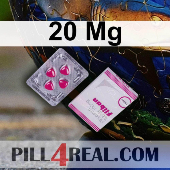 20 Mg 313
