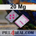 20 Mg 313