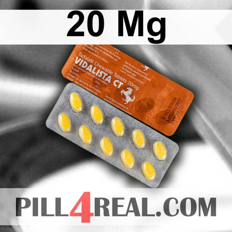 20 Mg 504