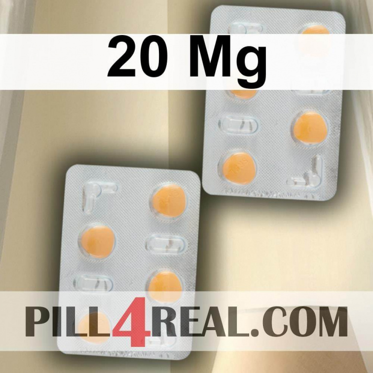 20 Mg 522