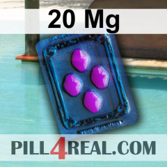 20 Mg 540