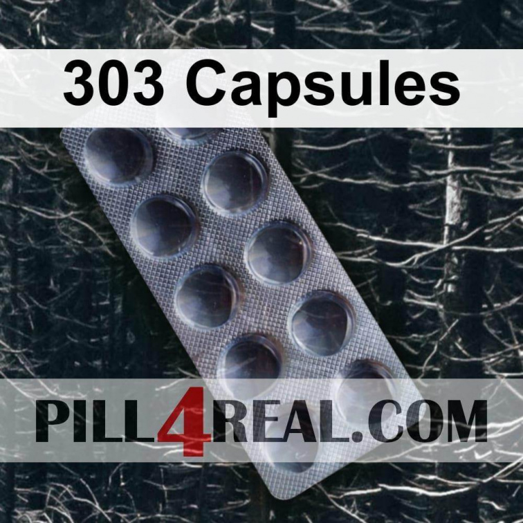 303 Capsules 504