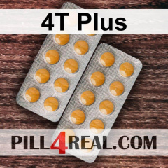 4T Plus 093
