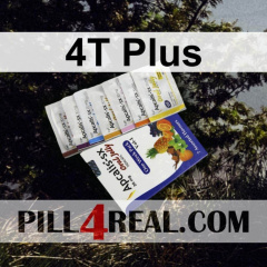 4T Plus 234