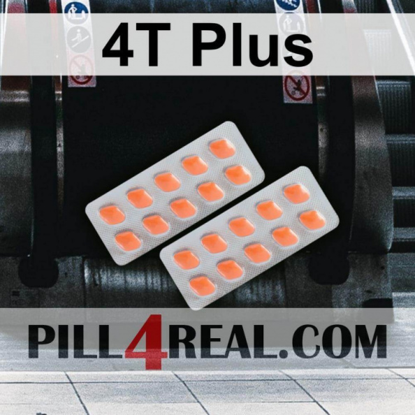 4T Plus 263