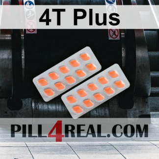 4T Plus 263