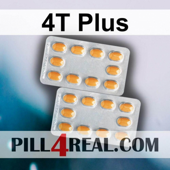 4T Plus 278