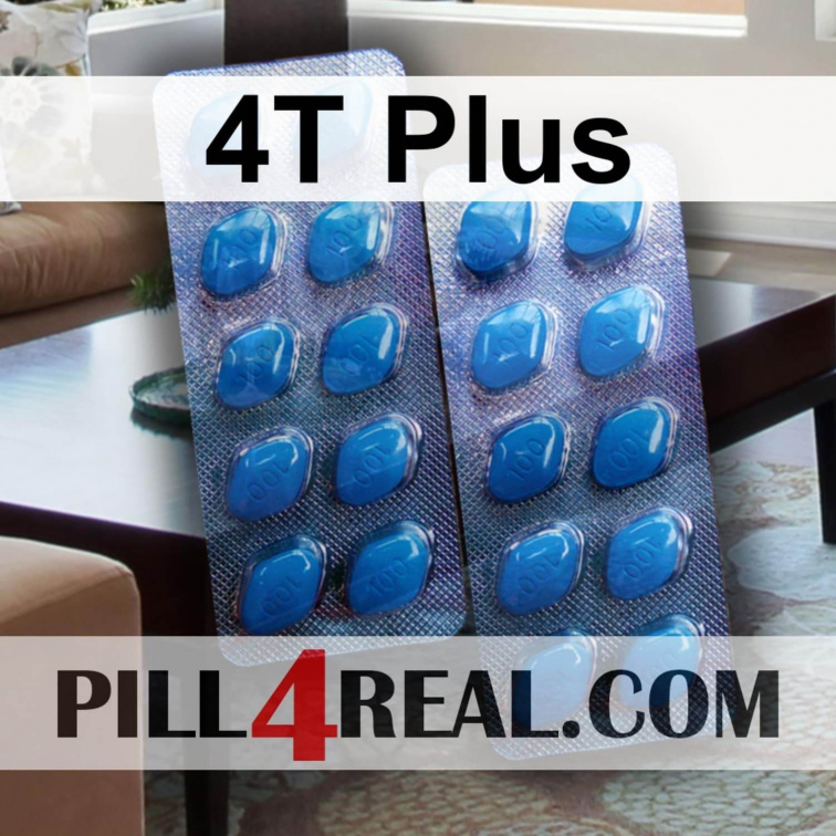 4T Plus 343