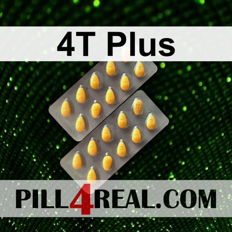 4T Plus 513