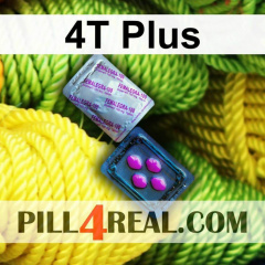 4T Plus 973