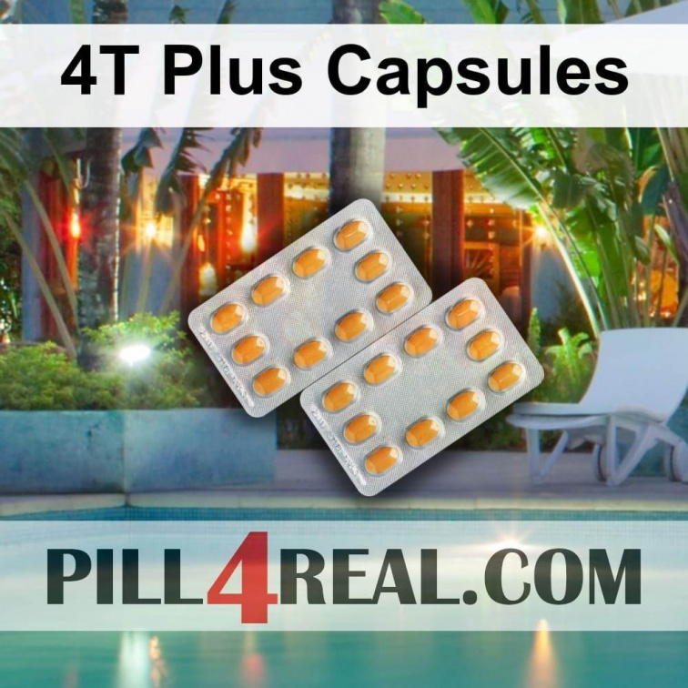 4T Plus Capsules 148
