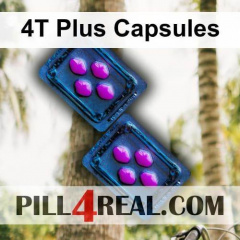 4T Plus Capsules 223