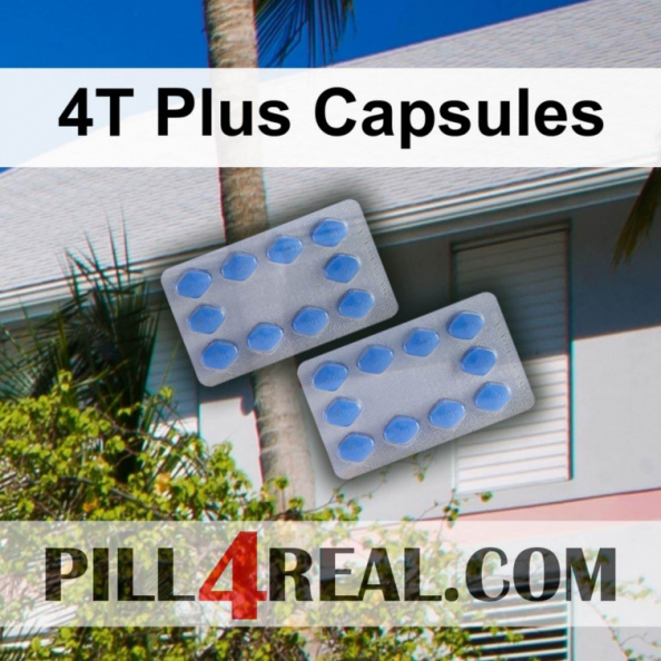 4T Plus Capsules 259