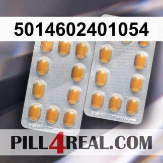 5014602401054 207