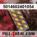 5014602401054 300