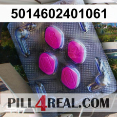5014602401061 991