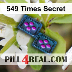 549 Times Secret 037