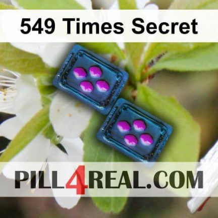 549 Times Secret 037