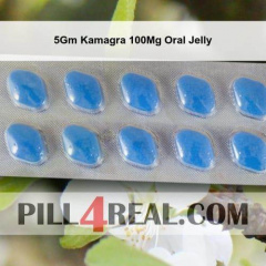5Gm Kamagra 100Mg Oral Jelly 027