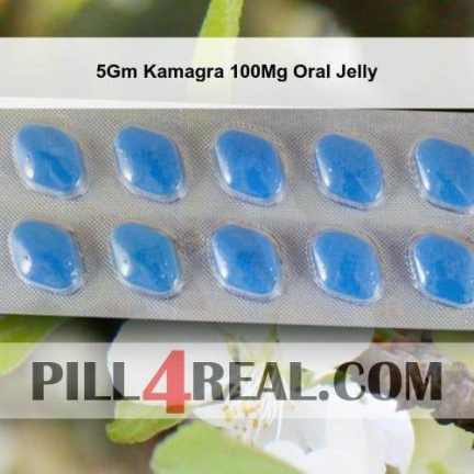 5Gm Kamagra 100Mg Oral Jelly 027
