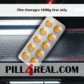 5Gm Kamagra 100Mg Oral Jelly 333