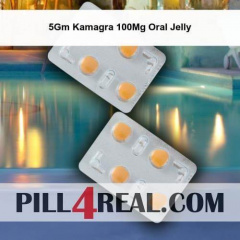 5Gm Kamagra 100Mg Oral Jelly 399