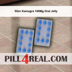 5Gm Kamagra 100Mg Oral Jelly 882