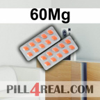 60Mg 209