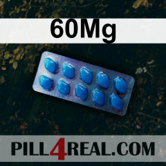 60Mg 299