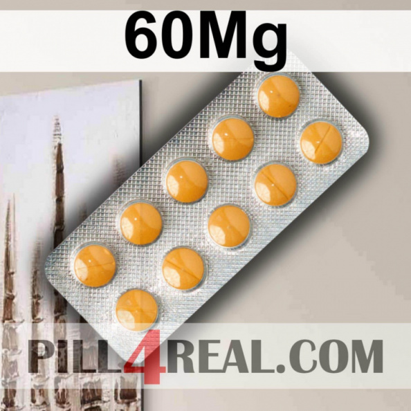 60Mg 334