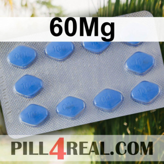 60Mg 459