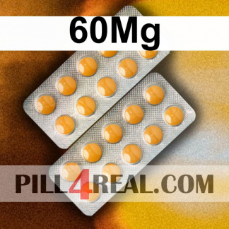 60Mg 541