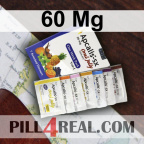 60 Mg 247