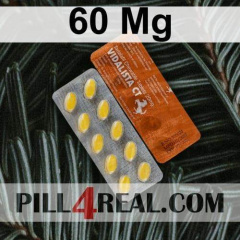 60 Mg 256