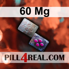 60 Mg 319