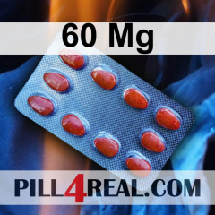 60 Mg 533