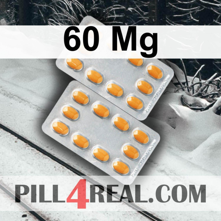 60 Mg 637