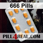666 Pills 954
