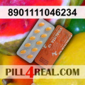 8901111046234 103