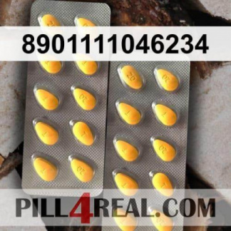 8901111046234 404